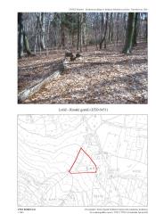 Rimski gomili v Ločiču